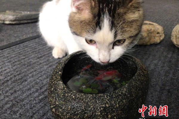 中關(guān)村290萬成交：海淀學(xué)區(qū)信仰的告別