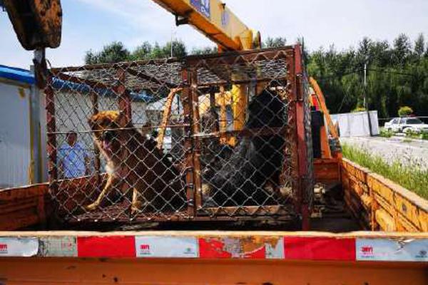 xshell7是做什么用的_澤連斯基：本周俄向?yàn)醢l(fā)射超1600架無(wú)人機(jī)