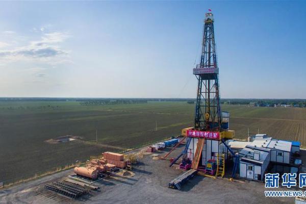 修復(fù)報(bào)告模板_