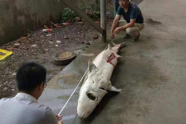 近15萬(wàn)億新增貸款去哪了