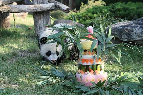 如何在windows上安裝mac系統(tǒng)_《第一狂戰(zhàn)士:卡贊》Steam版現(xiàn)已鎖國區(qū)