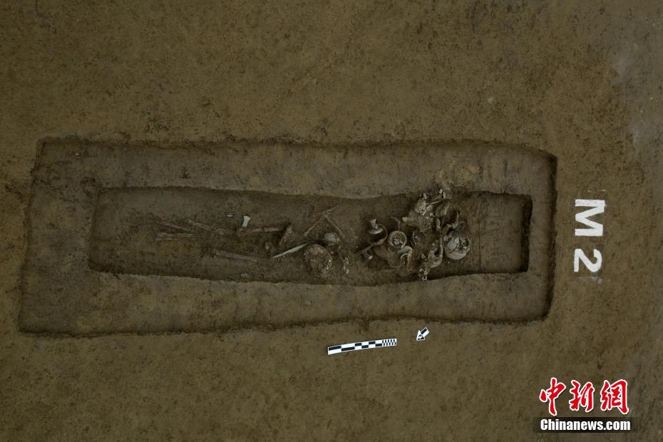 網(wǎng)上購物優(yōu)惠打折節(jié)假日有哪些_回鄉(xiāng)探親帶了10個保鏢，進村看到養(yǎng)父被鎖狗籠，村霸：你算老幾！