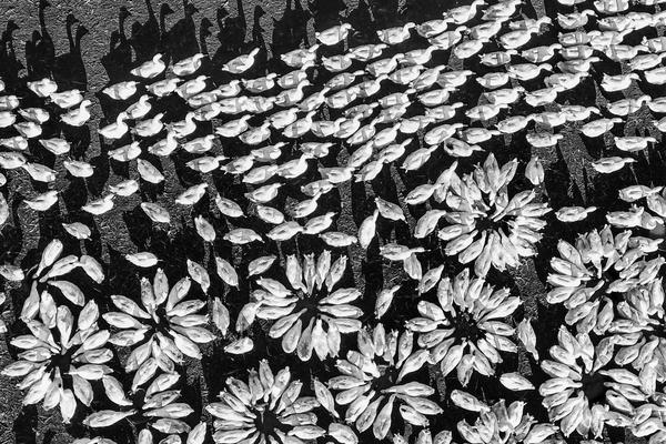 百度一下126網(wǎng)易免費(fèi)郵箱官網(wǎng)登錄入口_人體工學(xué)轉(zhuǎn)椅撐腰護(hù)頸