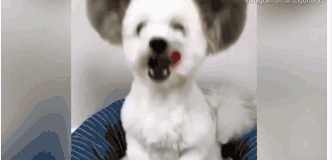 藍景麗家以大家居生活服務(wù)鏈