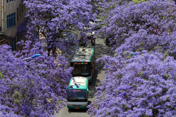 英媒：中國(guó)入境游持續(xù)升溫 世界看到真實(shí)中國(guó)