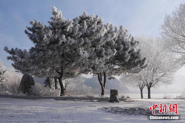 上海市黃浦區(qū)政府采購(gòu)中心聯(lián)系方式_運(yùn)油20空中加油機(jī)疑已完成研制 將有軟硬兩種加油法