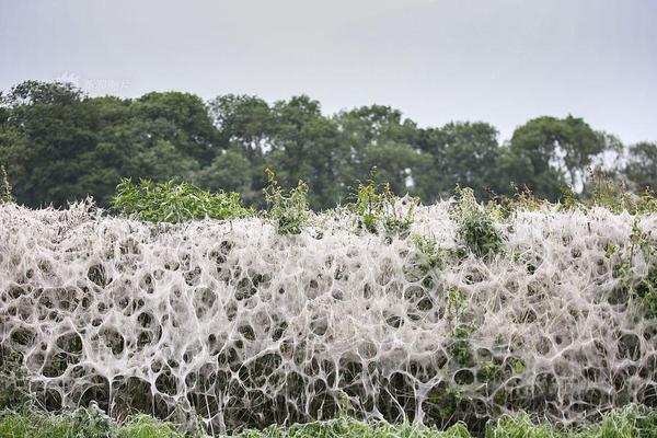 php程序員招聘_2019北京世園會(huì)開幕式文藝演出