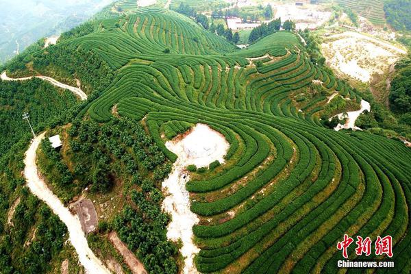 查問題堵漏洞做好排查_華誼兄弟上市后年度首虧 馮小剛鄭愷為對賭買單