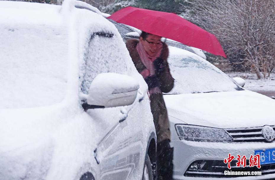 車載測試工程師基礎(chǔ)課程_章子怡朱麗葉比諾什合照