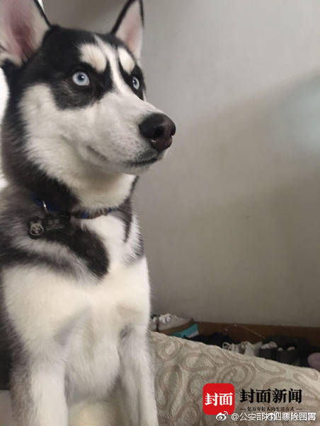 視圖查詢很慢怎么優(yōu)化_麒麟9030 Pro產(chǎn)能供不應(yīng)求！華為Mate 80 Pro第三方店鋪溢價(jià)千元以上