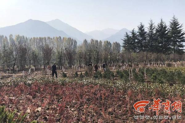 路由器固件老毛子固件下載地址_中國(guó)人的一天 第3411期