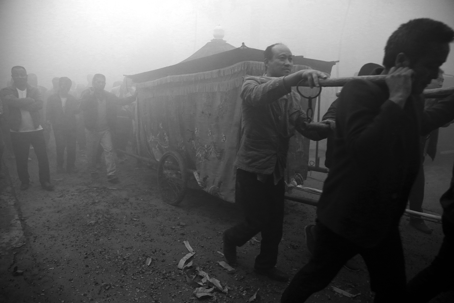 免費(fèi)的報(bào)名小程序_放棄羊駝改牛油果，Meta或轉(zhuǎn)向閉源