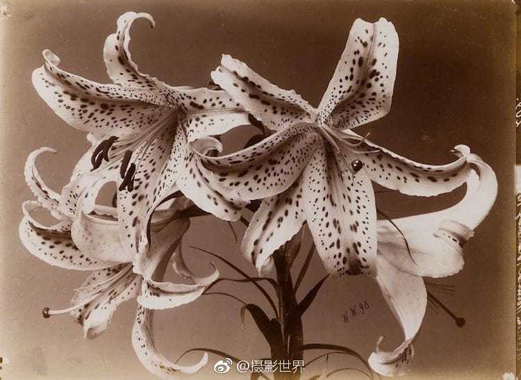 中國(guó)官方各類官網(wǎng)一覽表_2026年總臺(tái)春晚主題、主標(biāo)識(shí)發(fā)布