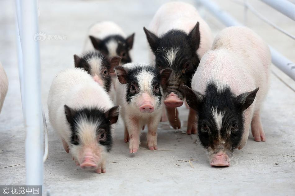 12378網貸協(xié)商還款_林允尖叫之夜演繹女性三重美學