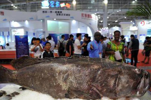 爬蟲思維導(dǎo)圖_國臺辦:“臺獨”意味著戰(zhàn)爭