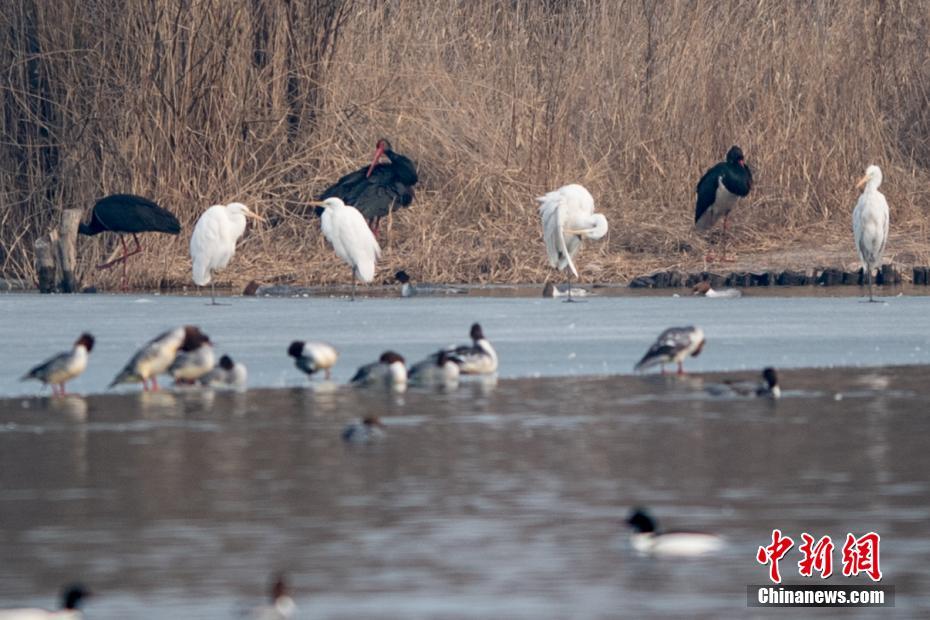 apache主目錄_面對(duì)風(fēng)浪挑戰(zhàn)，中國(guó)經(jīng)濟(jì)航船何以行穩(wěn)致遠(yuǎn)？