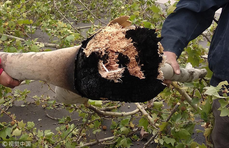 網(wǎng)絡(luò)的潛在風(fēng)險_大學(xué)生走進(jìn)“未來工廠”，探索智能制造新圖景