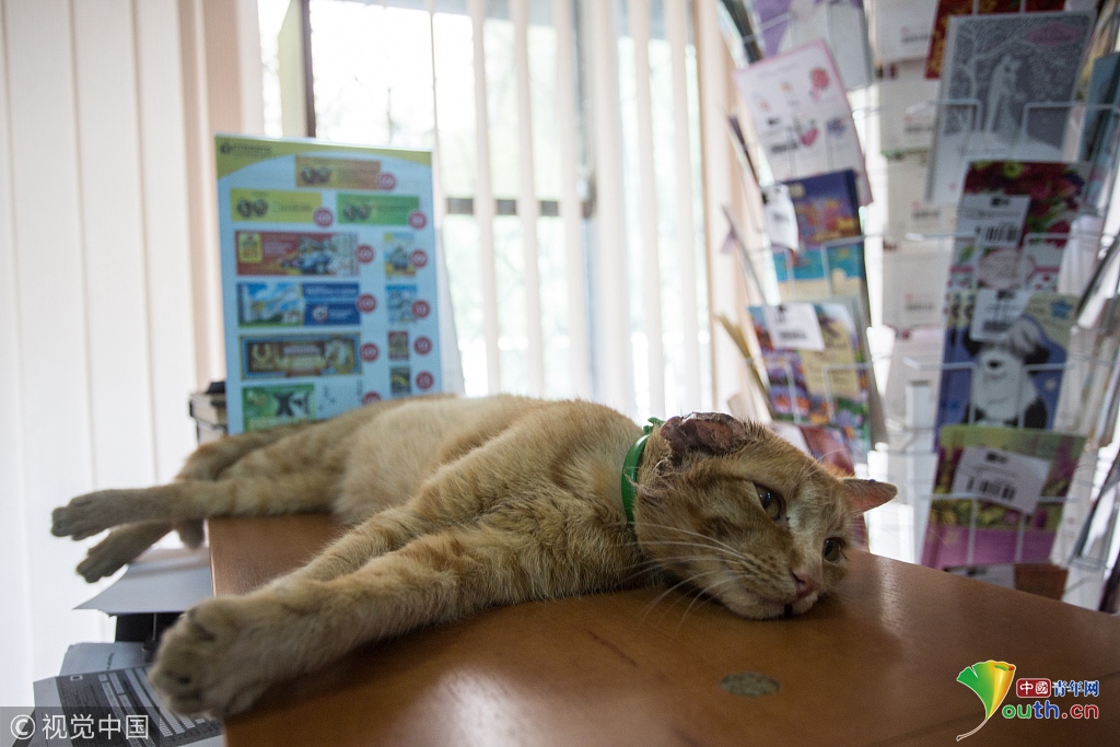 網(wǎng)絡(luò)工程師就業(yè)現(xiàn)狀_中巴“勇士-9”反恐聯(lián)合演習(xí)開展多課目混編聯(lián)訓(xùn)