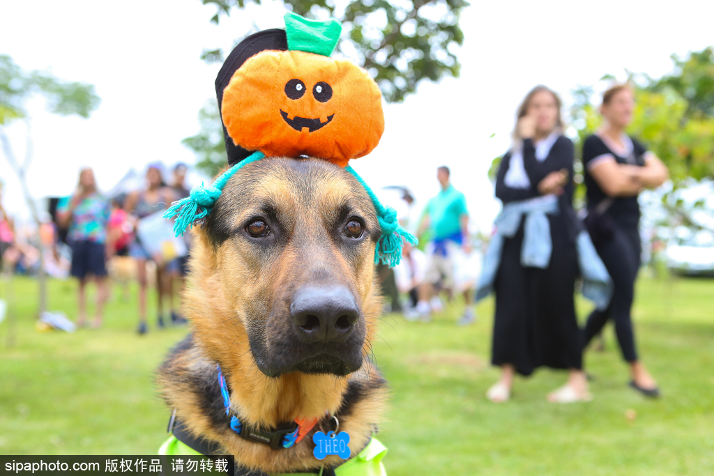 個人國外資金如何合法進(jìn)入國內(nèi)_預(yù)防兒童近視要注意這三個問題