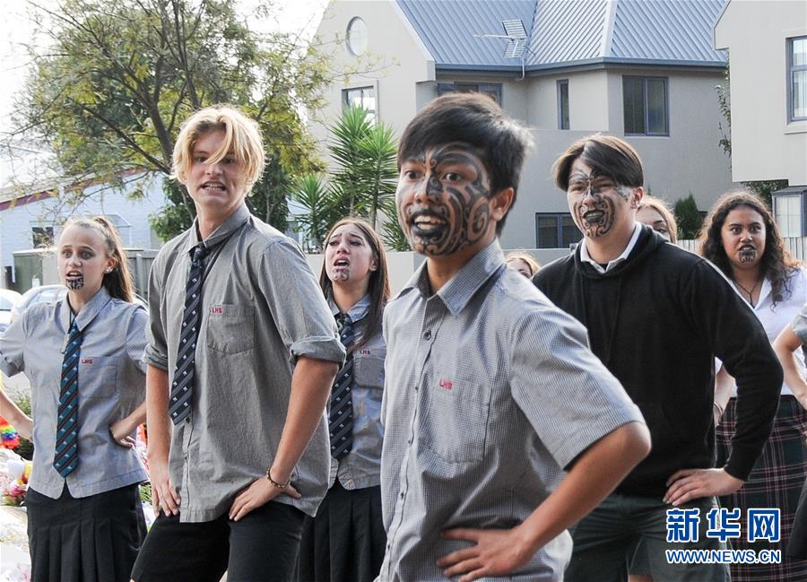 財(cái)經(jīng)觀察：從特斯拉“遇冷”看印度電動(dòng)車發(fā)展現(xiàn)狀