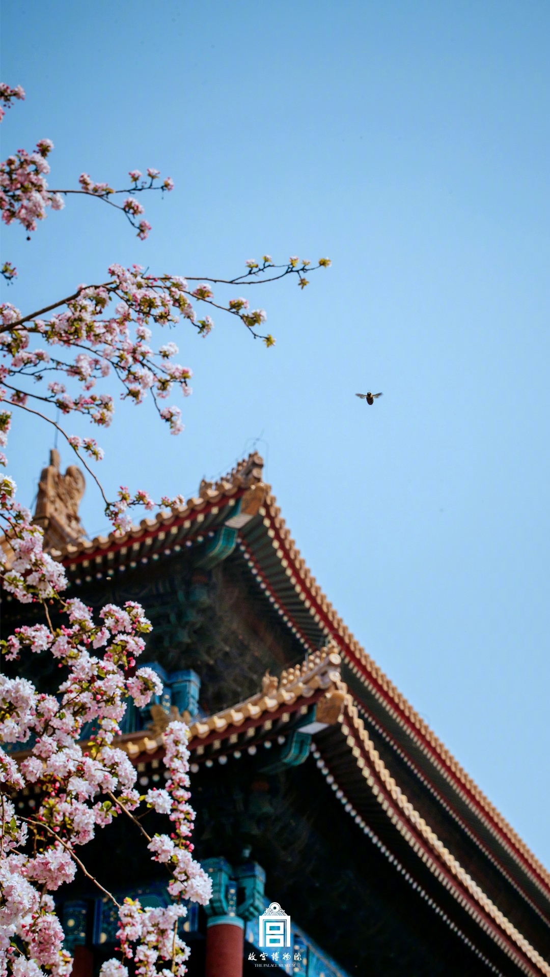 谷歌seo工具_(dá)牢牢把握內(nèi)需戰(zhàn)略基點(diǎn) 建設(shè)強(qiáng)大國(guó)內(nèi)市場(chǎng)