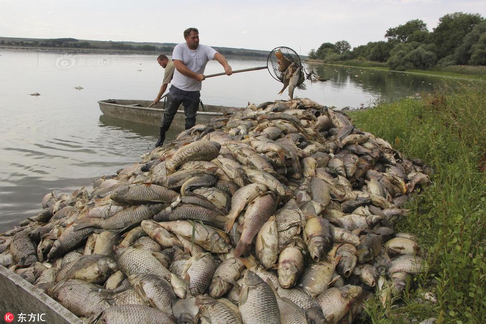 網(wǎng)頁導(dǎo)航首頁_戰(zhàn)鷹與霞光同框 南部空軍實戰(zhàn)化訓(xùn)練大片來了