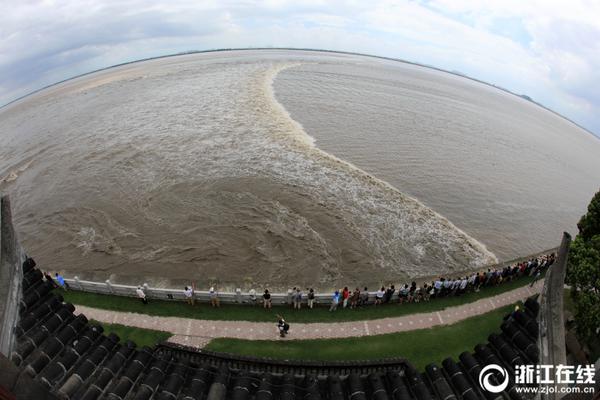 網(wǎng)站下載神器_香港故事丨守護共同記憶——香港百歲古樹“扶正”記