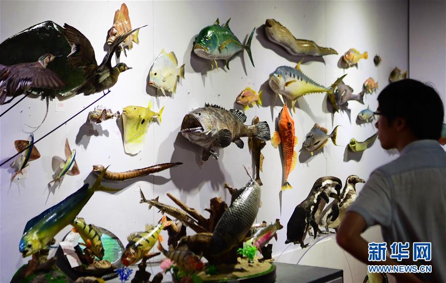 蘋果id國外賬號(hào)購買_85%的人遭遇過背痛 8項(xiàng)無器械練習(xí)可緩解