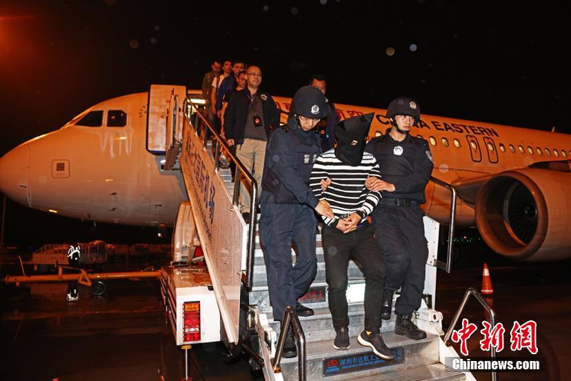 web網(wǎng)站日志在線分析工具_(dá)叮！新鮮出爐的好房源來啦