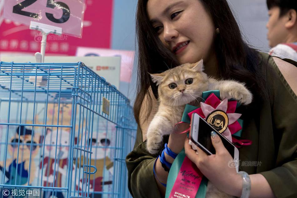 個(gè)人信息泄露案件_更多升級(jí)更超值 試駕2026款吉利銀河星艦7 EM-i