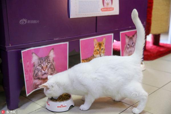 受賄超11億!白天輝被執(zhí)行死刑