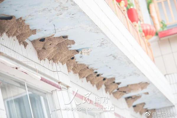 小白網(wǎng)站搭建_WNBA選秀大會 韓旭第14順位被紐約自由人選中