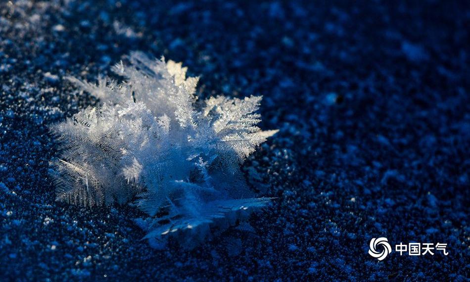 工控漏洞檢測平臺_反轉(zhuǎn)！派拉蒙出價1000億美金，阻止網(wǎng)飛收購華納