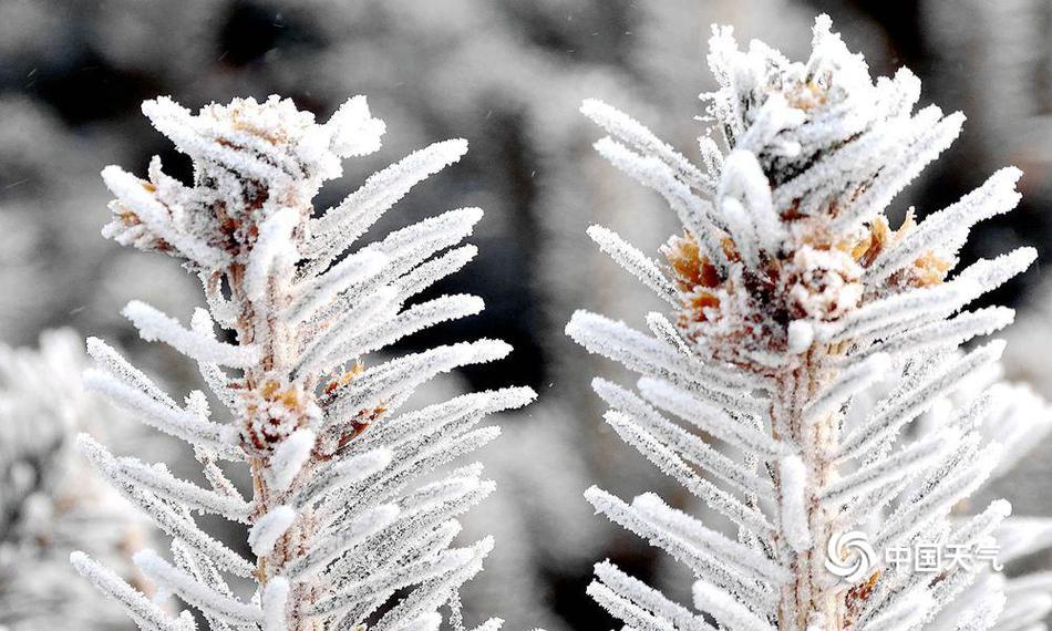 胡彥斌澄清沒(méi)有無(wú)縫銜接？?jī)蓚€(gè)網(wǎng)紅的修羅場(chǎng)與易