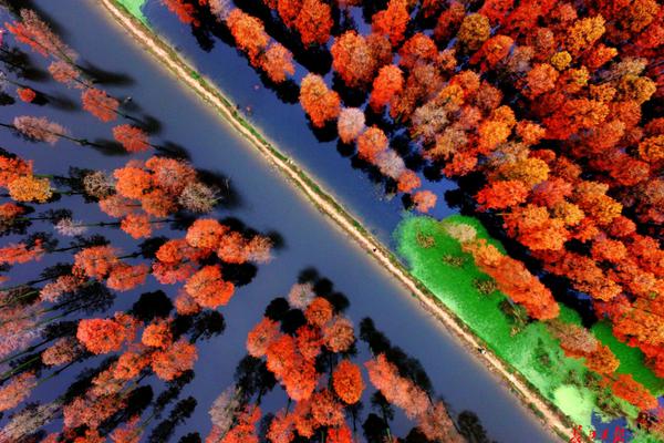 被盜刷狀態(tài)是掃二維碼付款_河北尚義鴛鴦湖滑雪場全力備戰(zhàn)新雪季 預(yù)計元旦迎客