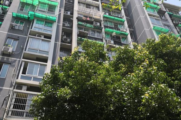 靜態(tài)網(wǎng)頁的功能_“這件大衣”今年冬天又火了，怎么搭都高級！