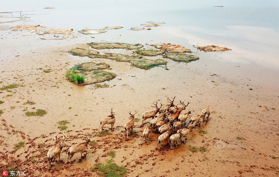 別人拍了我的微信好友二維碼有什么影響_陜西一地噴顏料染綠草坪系謠言