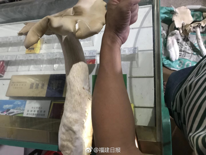 優(yōu)惠券上面壓線(xiàn)和啤針孔線(xiàn)的區(qū)別_