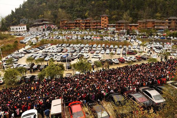 三金影后周冬雨，終究要為當年的行為付出代價？