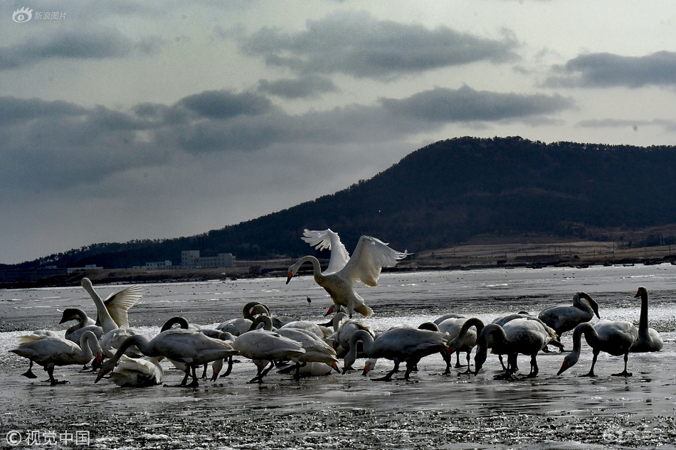 運維的工作內容_從五年規(guī)劃看“中國之治”