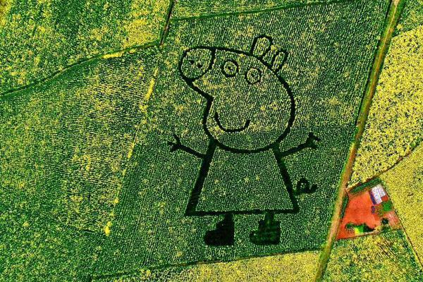 淘寶死店鋪采集軟件_字節(jié)跳動(dòng)李亮：AI手機(jī)助手的本質(zhì)是機(jī)主授權(quán)