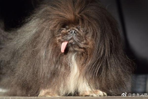 通過post方法提交數(shù)據(jù)_臺首艘自制潛艇測交艇確定跳票！臺海軍認了：對臺船按日計罰