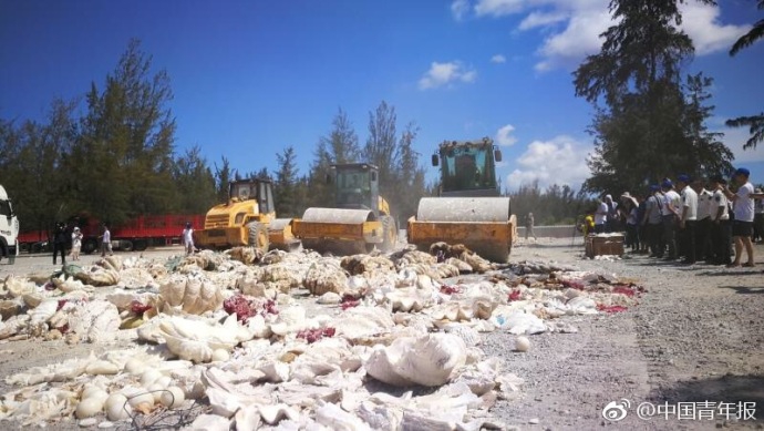 中國科學技術信息研究所 統(tǒng)計源核心期刊_6 萬人涌入賭城 圍觀AWS自研芯片、Nova 模型、AI 工廠全面開火