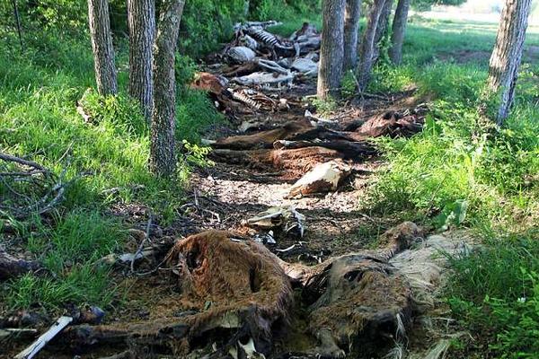 360游戲修復(fù)工具下載_警惕乳腺報(bào)告五大信號警報(bào)！