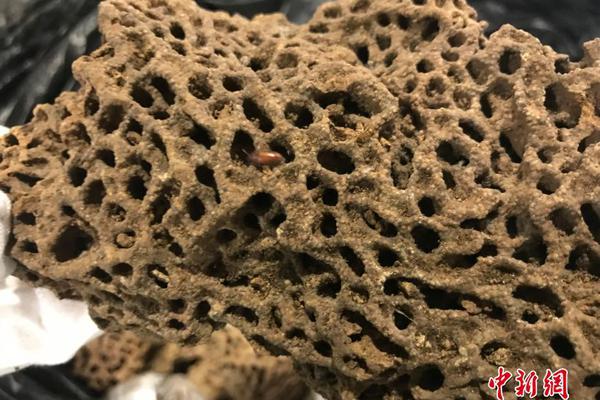 todesk遠(yuǎn)程控制個人版_斯塔默將于明年1月29日到31日訪華？外交部回應(yīng)