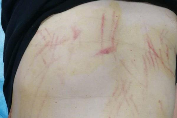 廣泛宣傳網(wǎng)絡(luò)賭博的危害_俄版《瘋狂動(dòng)物城2》上映引熱議 畫(huà)面比正版小一圈