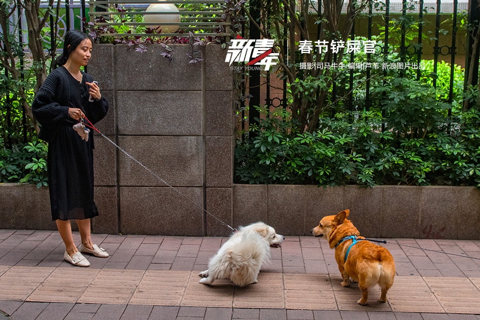 fillder過濾本機(jī)數(shù)據(jù)_理財子打響產(chǎn)品升級戰(zhàn)，多資產(chǎn)多策略為32萬億市場帶來新氣象