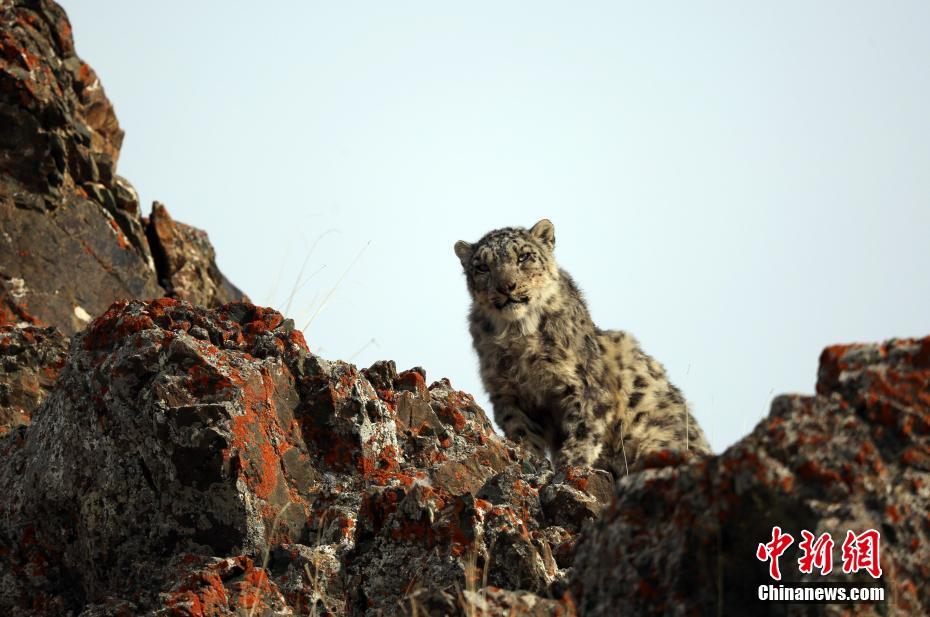 四代嘉宅筑就熱銷現(xiàn)象 革新懷柔好房子標(biāo)準(zhǔn)的劃時代范本