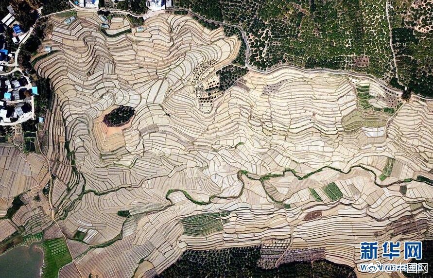 海龜編輯器繪制蜘蛛網(wǎng)_老艾:內(nèi)資砸盤幫外資抄底