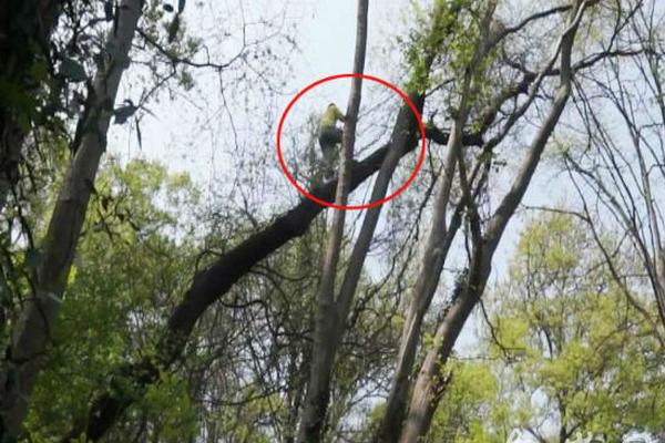 破損瀝青路面修復(fù)市場(chǎng)價(jià)多少錢_2026年總臺(tái)春晚主題、主標(biāo)識(shí)發(fā)布